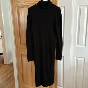 Expresss turtleneck dress